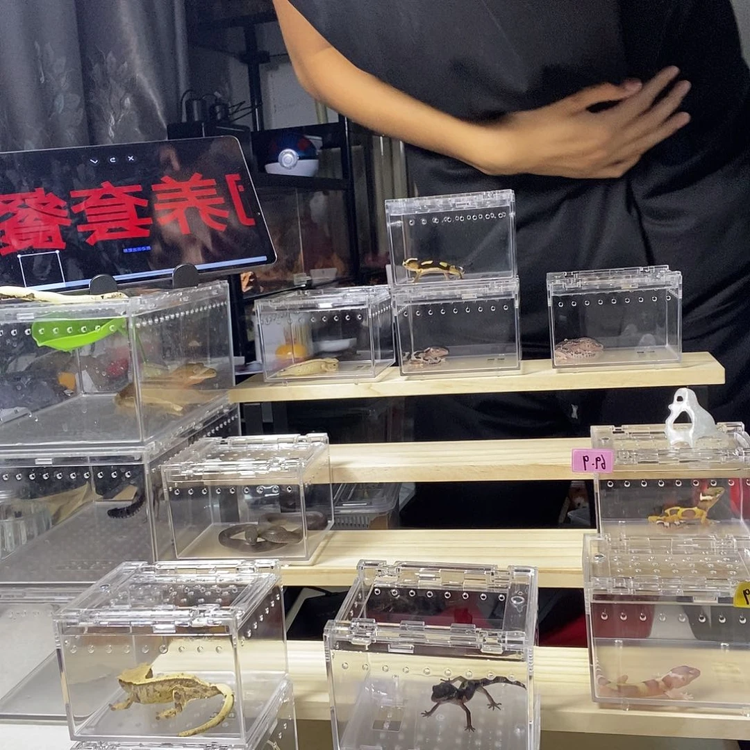 邮费邮费邮费自理