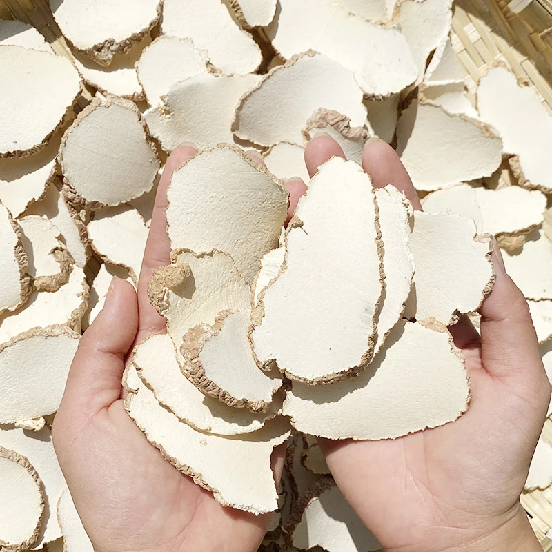 马来清润 200g/500g精选大片虎乳白皮可炖汤煮水包邮虎奶菌