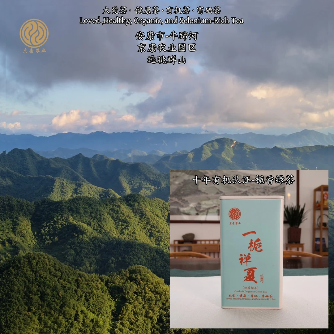【陕西安康京康农业有机富硒栀香绿茶】夏季冷泡更佳2025年新品上市