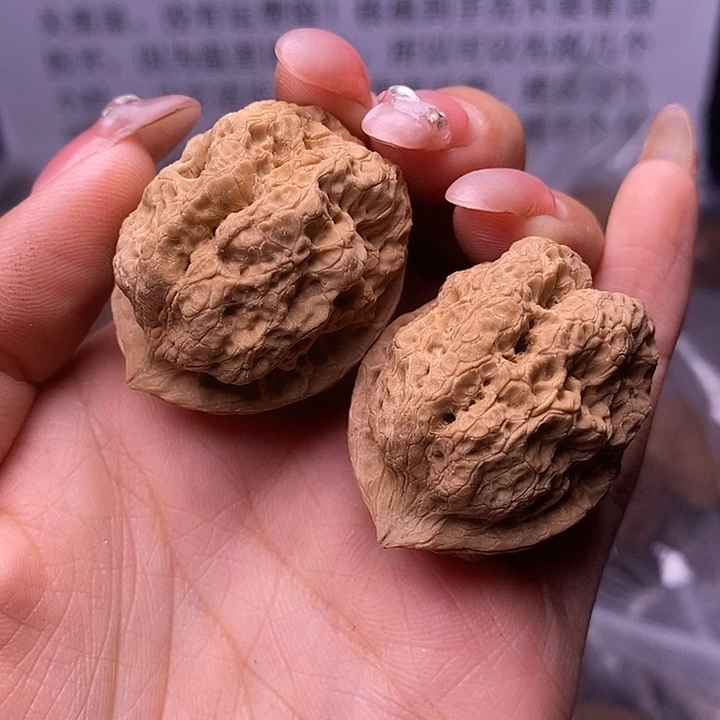 核桃云南野生铁核桃81号35mm