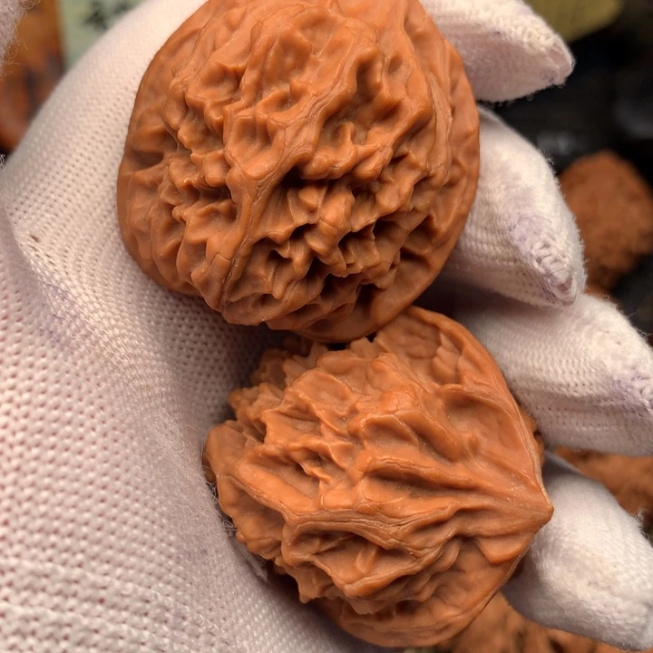 40尺秦岭野生官帽红皮