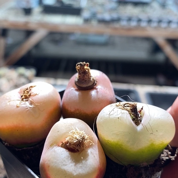 6145一组一组一组