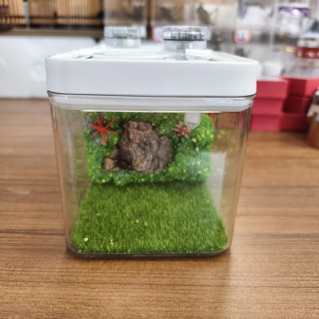天然原木带加湿器鸣虫饲养箱 蝈蝈生态箱