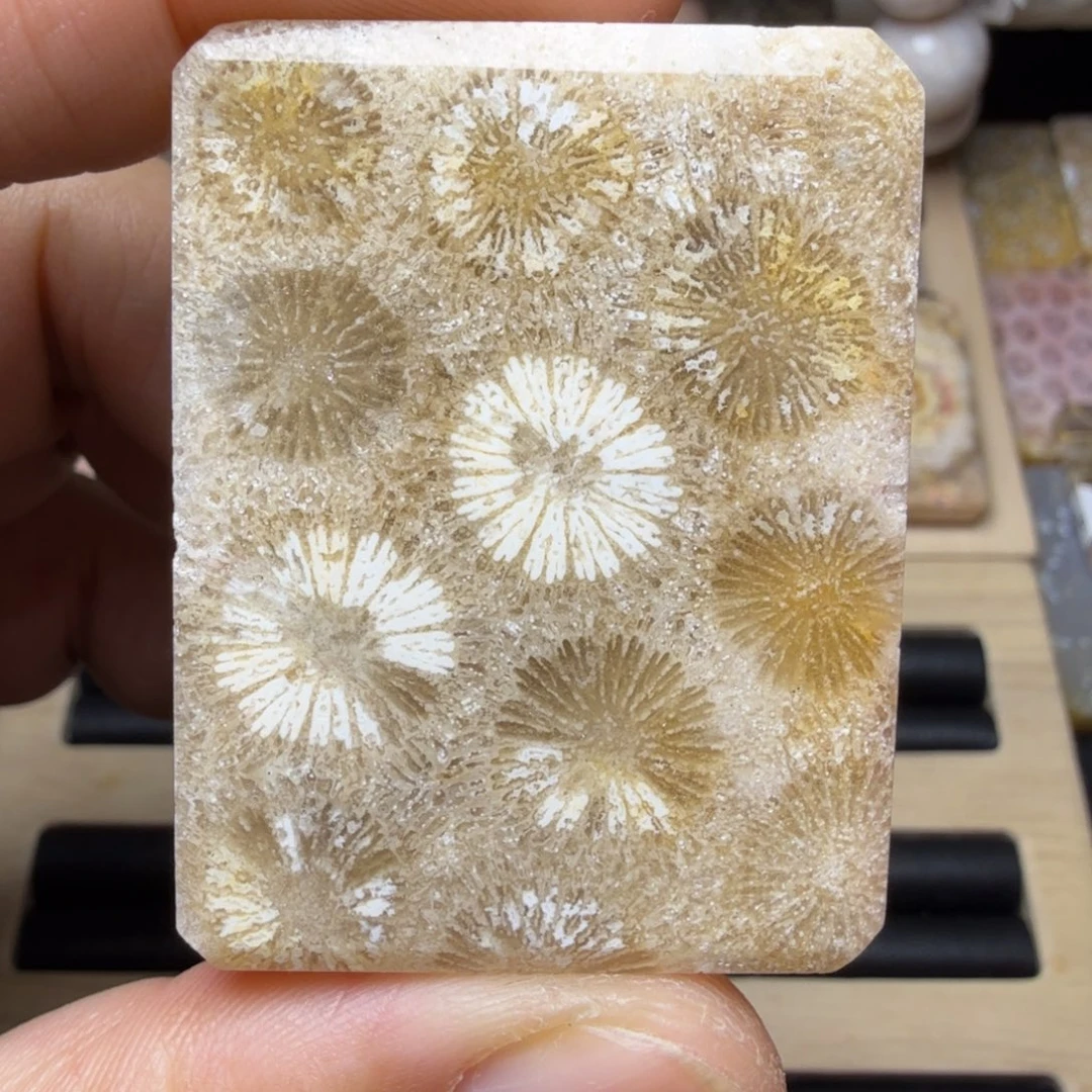 硅化玉未镶嵌纯天然色有机玉石保真色