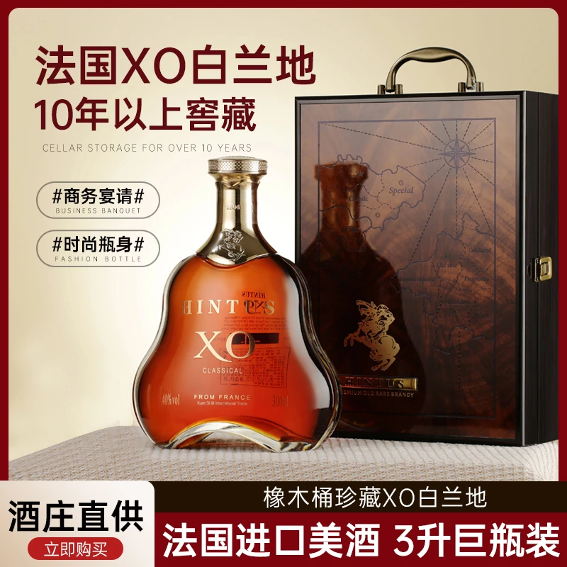 法国进口洋酒XO白兰地3升1支礼盒装TY