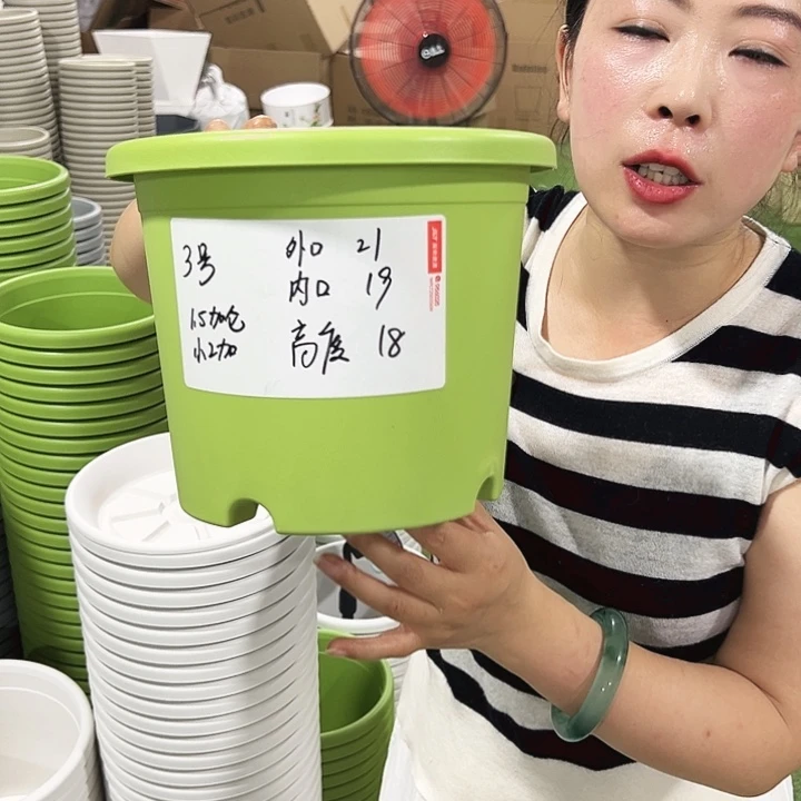 特价3号四季口21高18白色10只无托