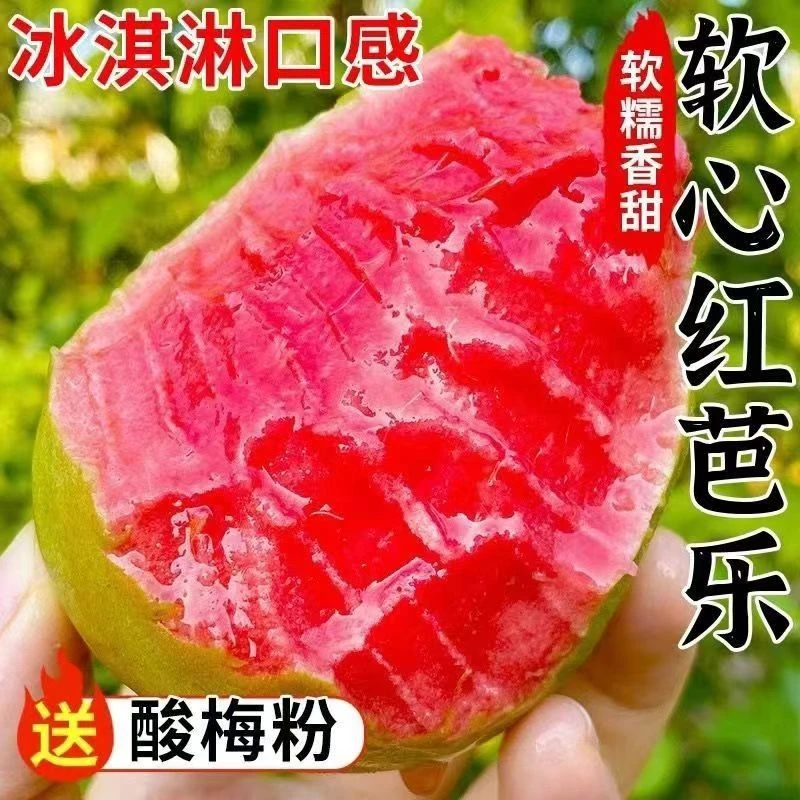 草莓红心芭乐软心芭乐西瓜芭乐2.5斤新鲜