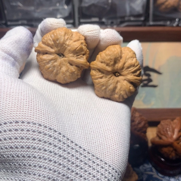 牛***鸭哈哈哈哈哈哈哈哈哈