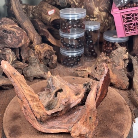 黄花梨/降香黄檀陌*