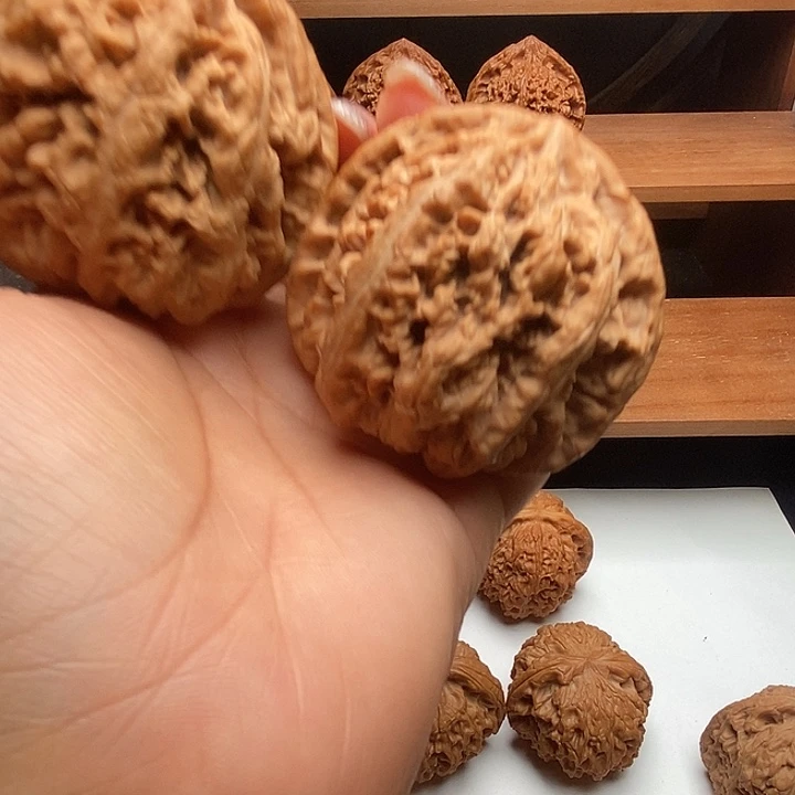 雨*晨文玩核桃大粗筋50全品