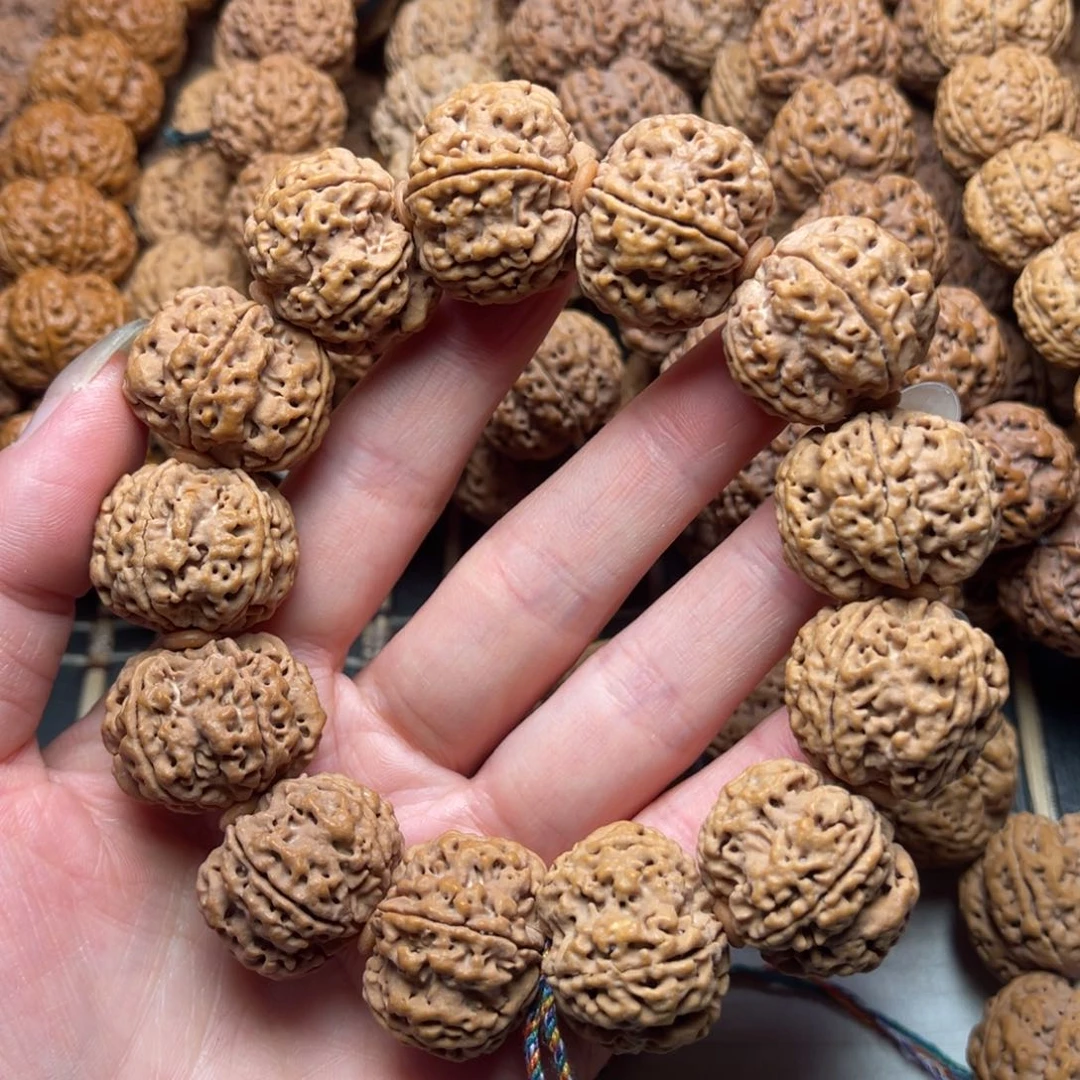 菩提20号金刚菩提原生态双龙24