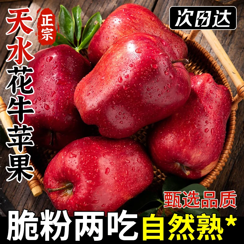 【次日送达】当季正宗花牛苹果新鲜水果平果红蛇粉面脆甜丑果孕妇整箱甘肃天水甘肃省
