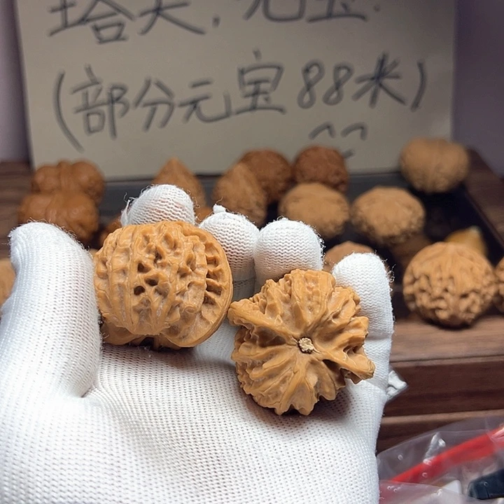 继***来大叶紫檀（黑酸枝木类）