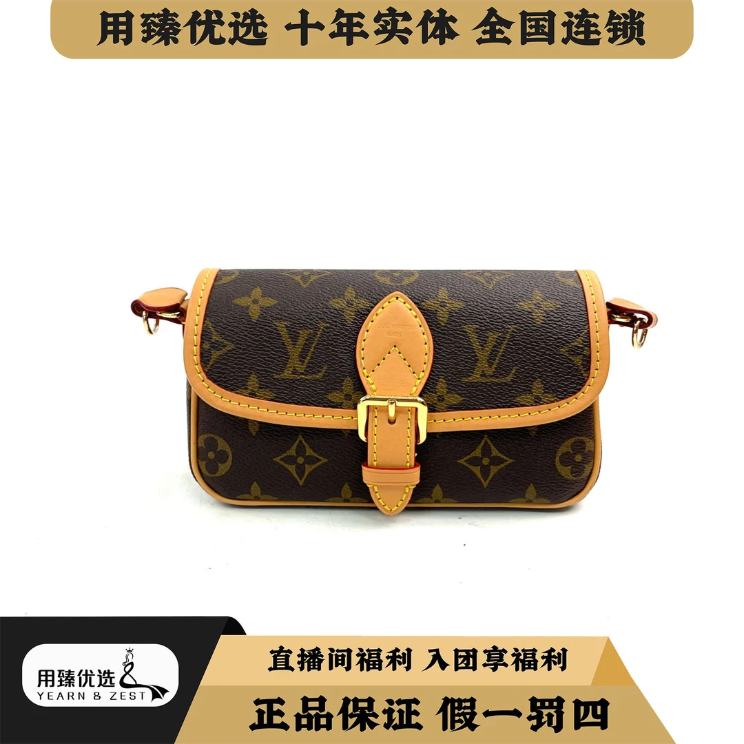 99新 LouisVuitton/路易威登 nano Diane 法棍/BE4480282特临