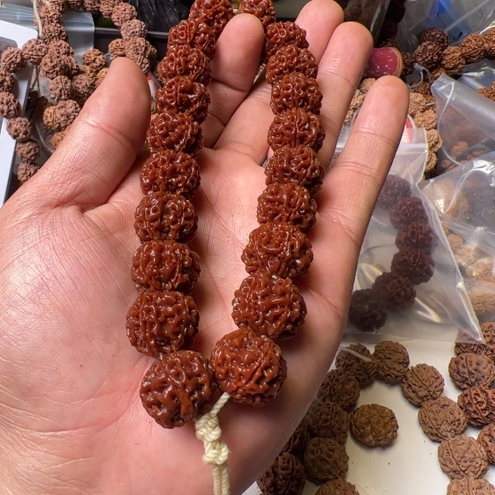 金刚菩提手串17➕雪山始祖梅花