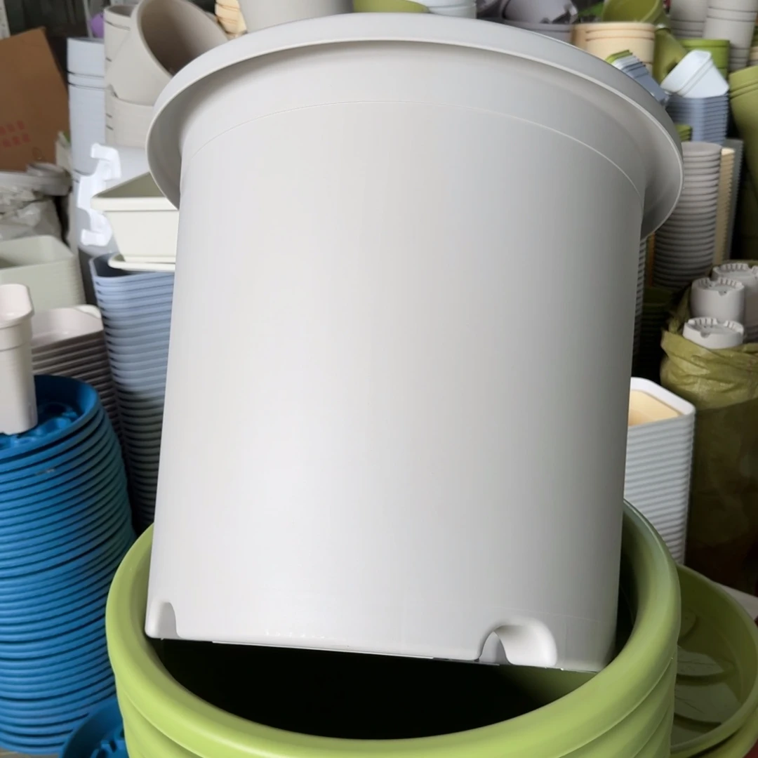 微瑕55口无拖果绿2个