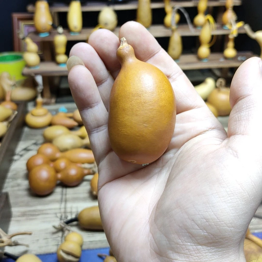 鲨***鱼木葫芦！！！！！？！！！！