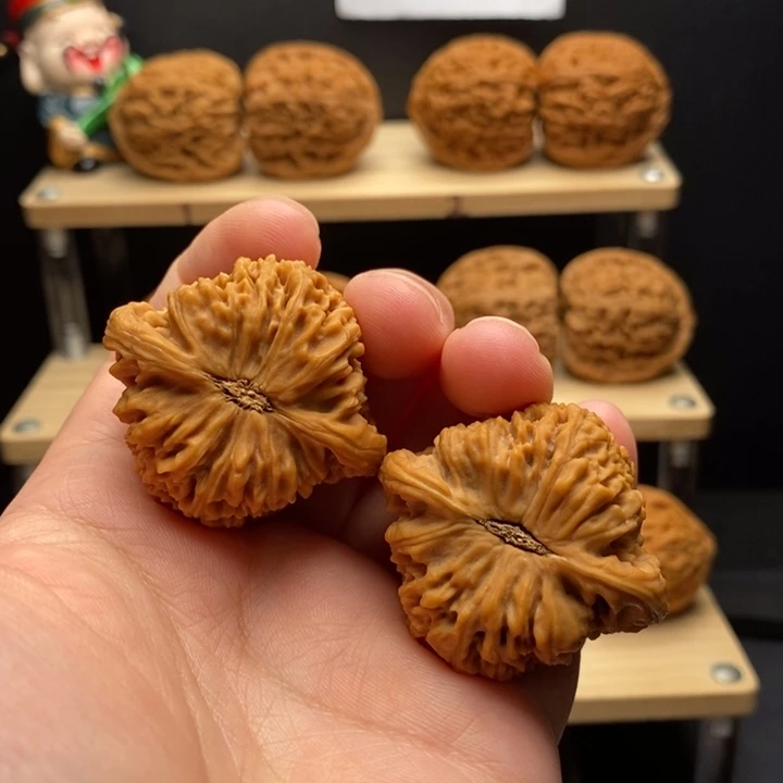 核桃洋**意40-37-38