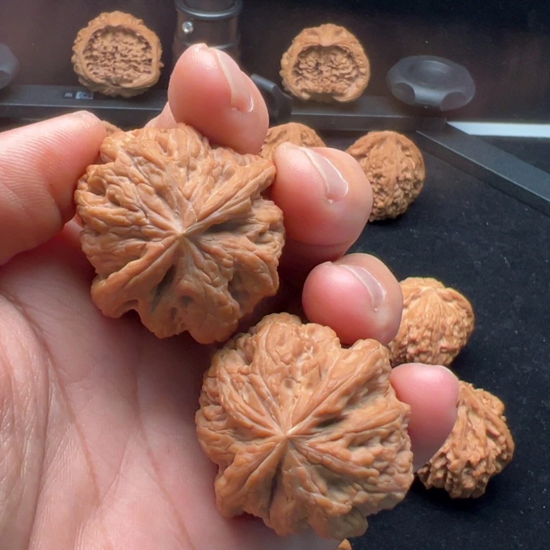 深***好把件文玩核桃全品大粗筋