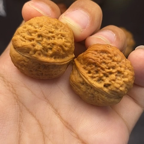 文玩核桃把件31尺小青蛙