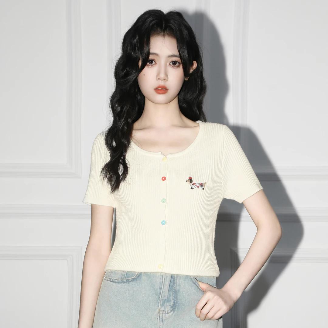 圆领针织短袖T恤女夏2025夏季新款设计感卡通刺绣体恤正肩短上衣