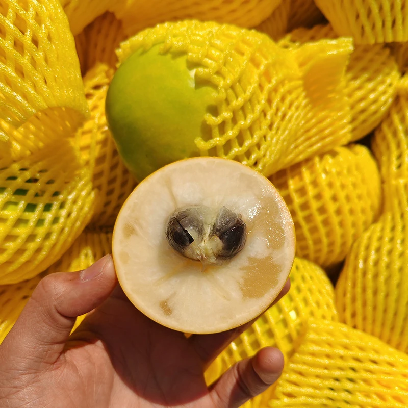 福建黄晶果新鲜冬蜜黄晶果香甜多汁黄金牛奶果稀有水果顺丰包邮