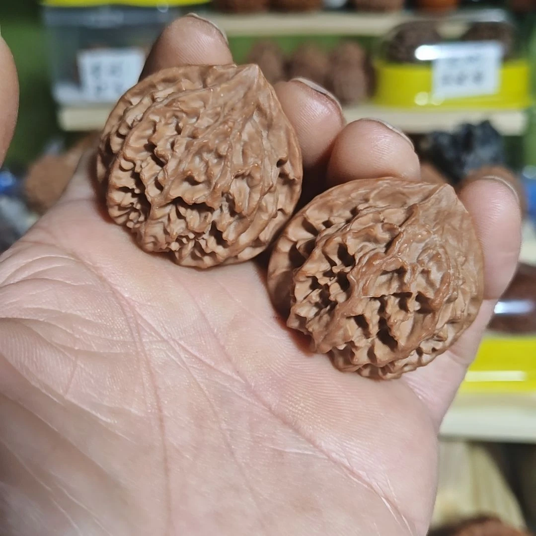 40加尺寸，老款灯笼狮子头