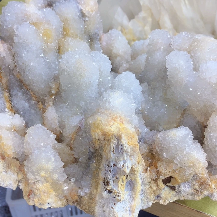 包***猫未镶嵌水晶大型摆件（非配饰）