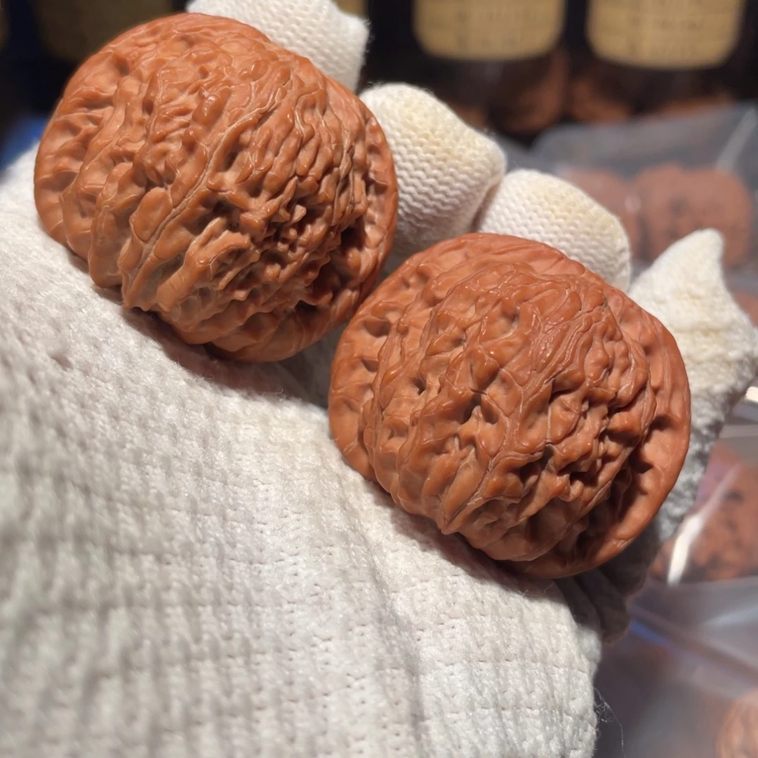 核桃43山地正磨mmmm