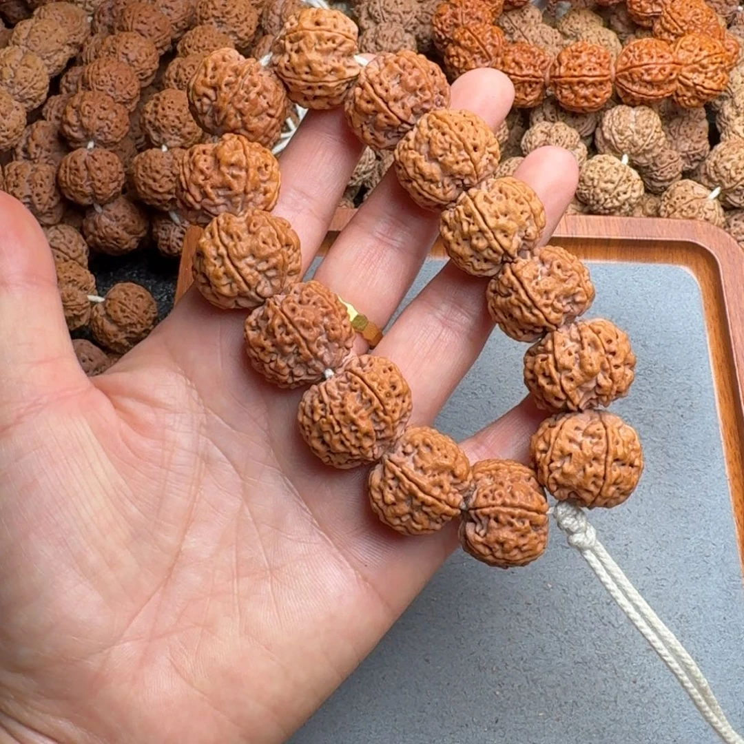 温***生菩提菩提19号尼泊尔大金刚24六瓣梅花