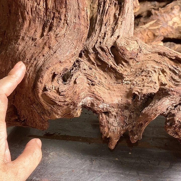花梨木类无*海南花梨