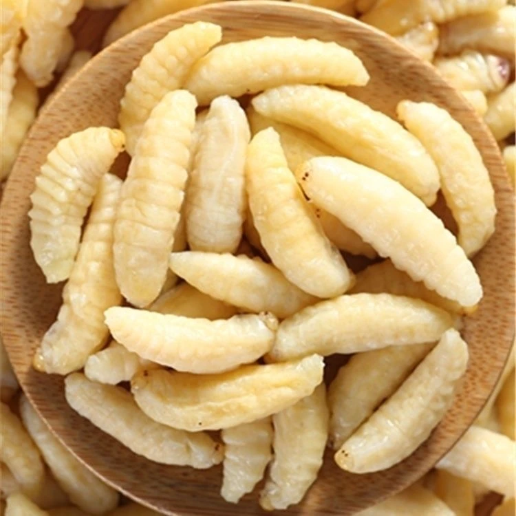 蜂蛹野生新鲜蜂蛹速冻金环虎头蜂嫩虫顺丰包邮金环1234级