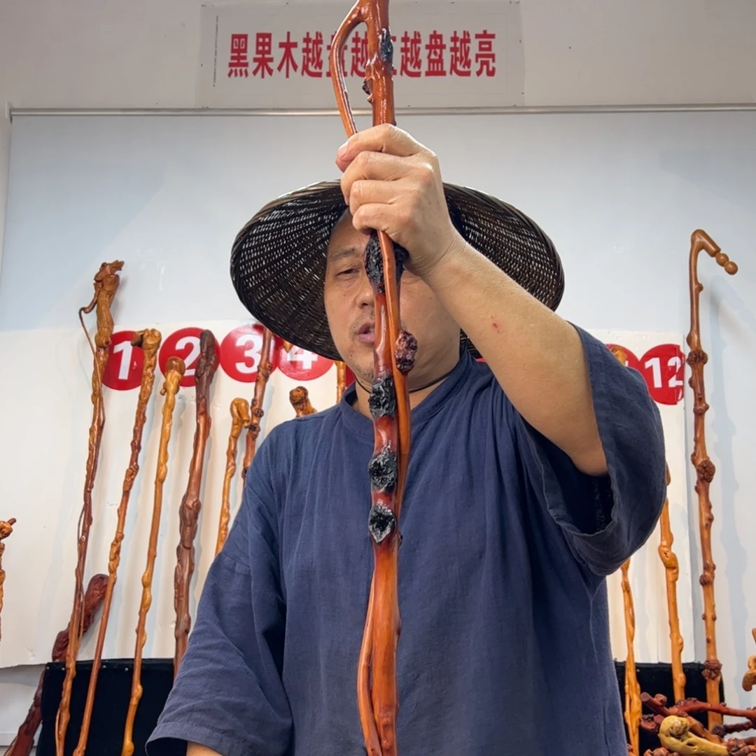 其他黑果木黑果木874