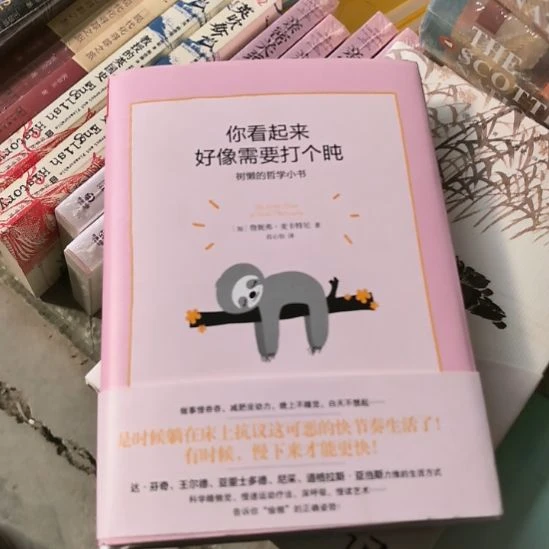 树懒的哲学小书精装