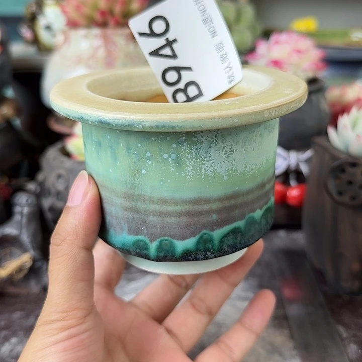 重庆小燕子欢迎大家946