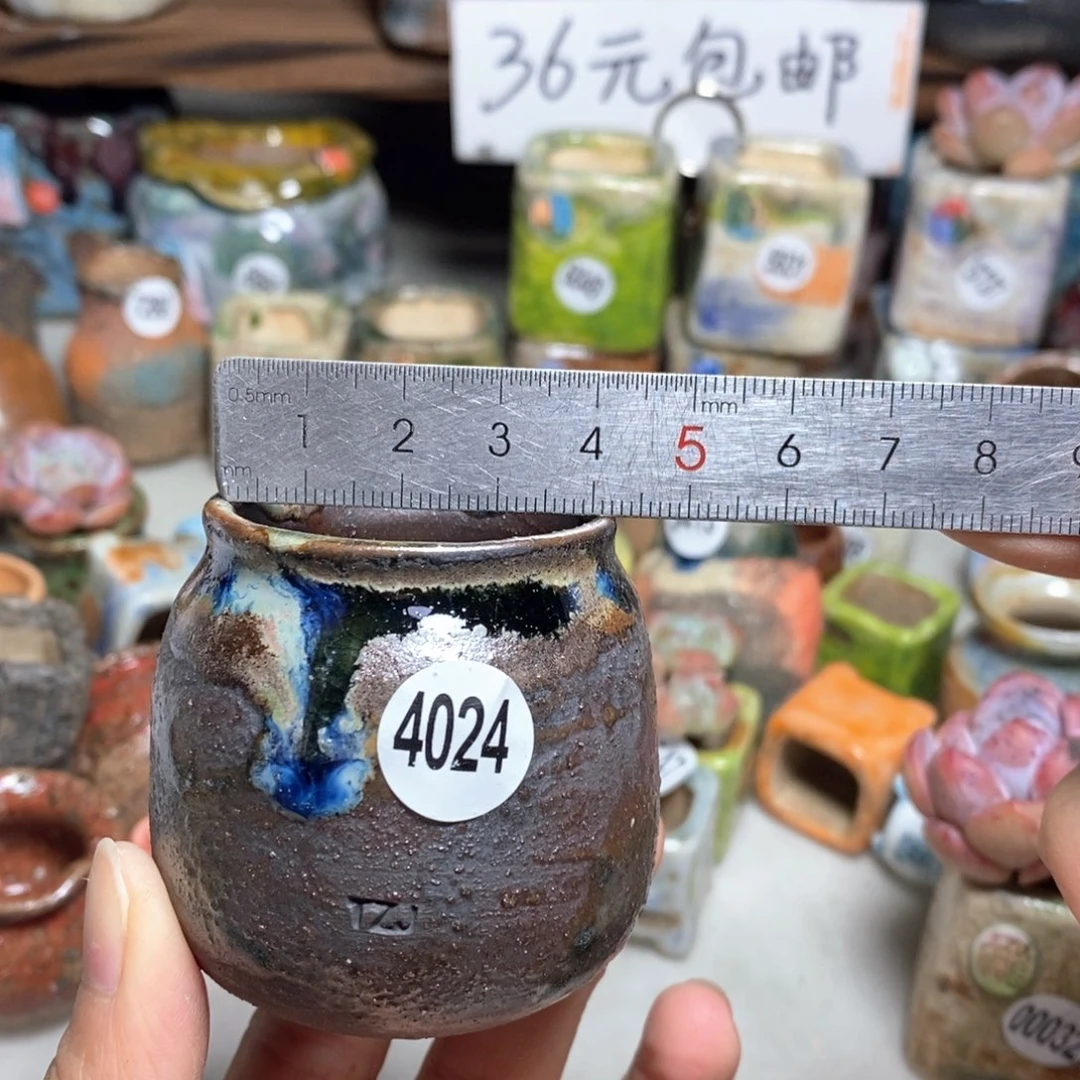 拍5送一个小礼物
