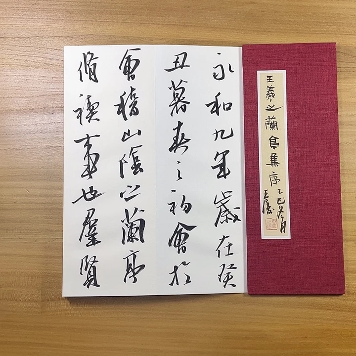 书法中书协会员作品