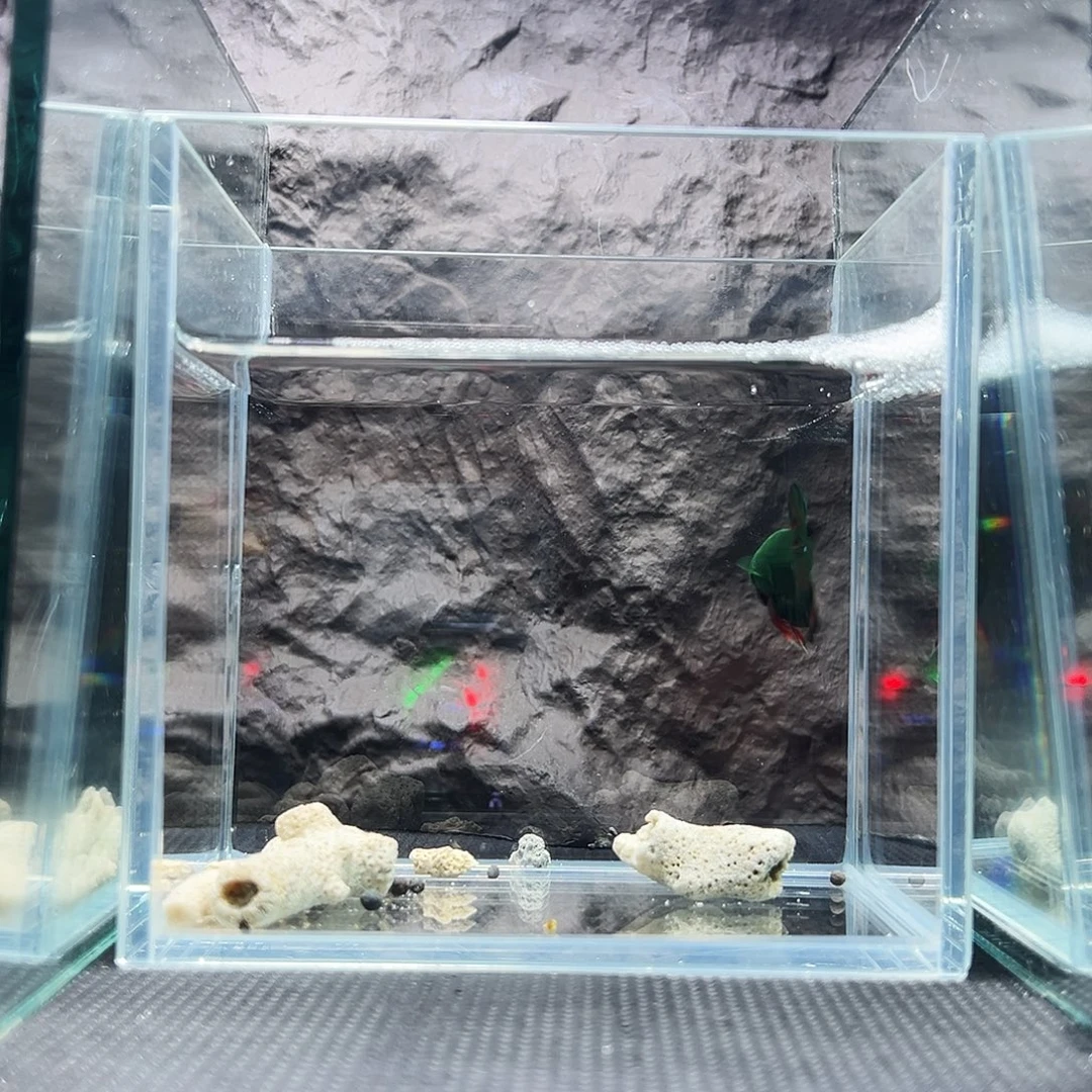 斗鱼精品可怕精品精品精品精品