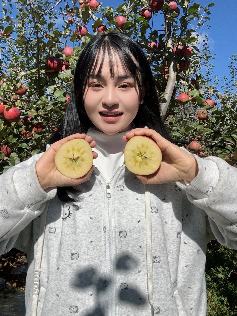 【A京东，京东发不了发普快】大凉山高山盐源丑苹果 外表丑甜脆多汁