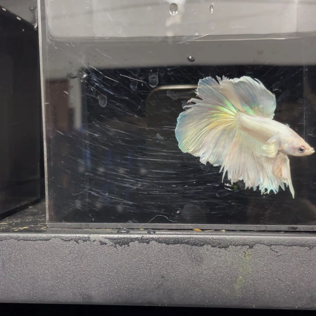 海水哈哈哈哈哈哈哈哈哈