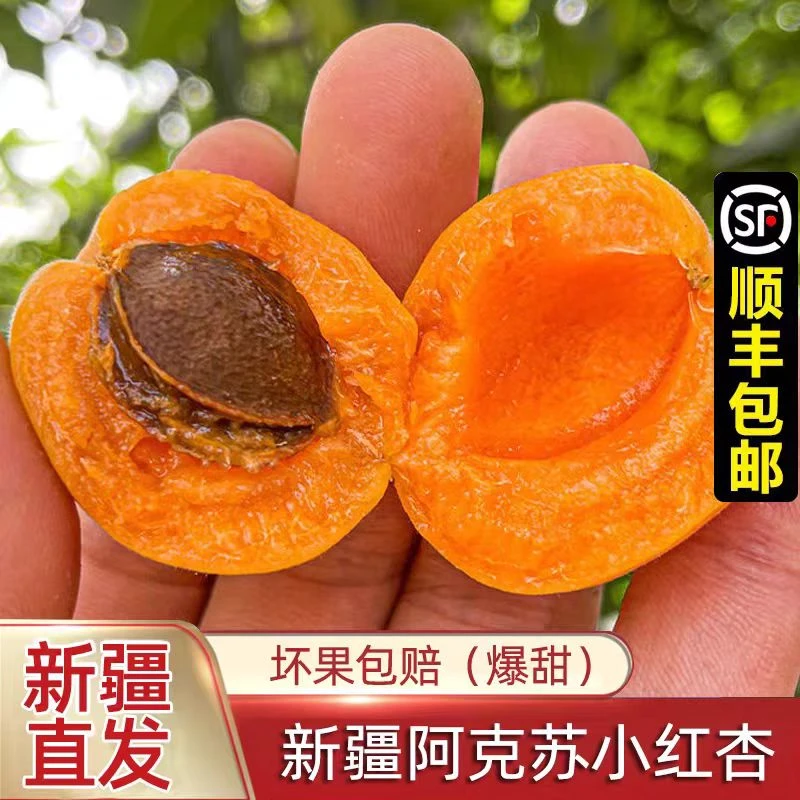【产地直发】新疆小红杏新鲜水果当季特产