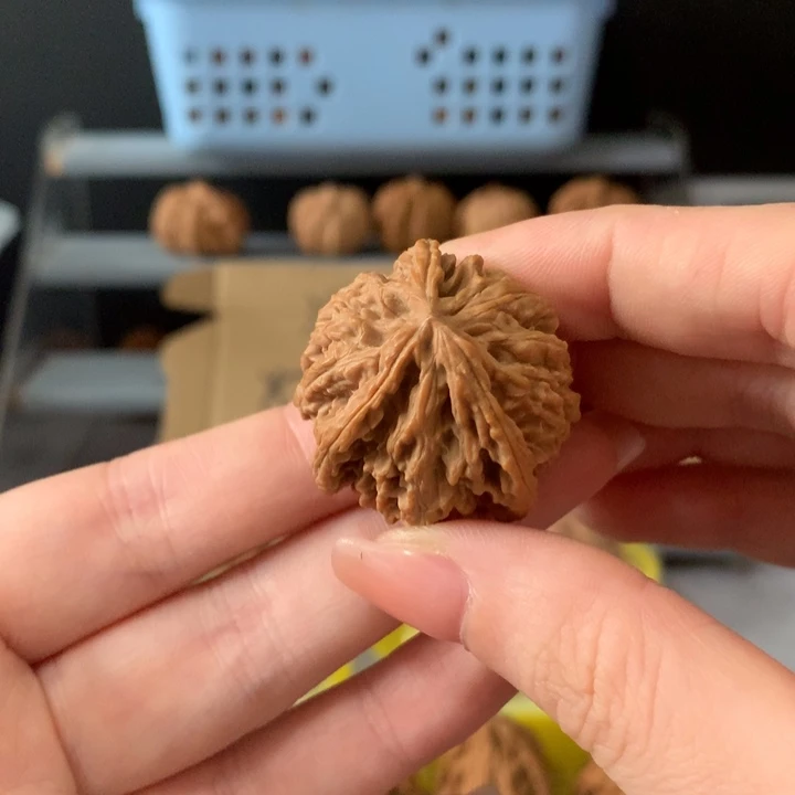 挪***林吊坠文玩核桃异形单只