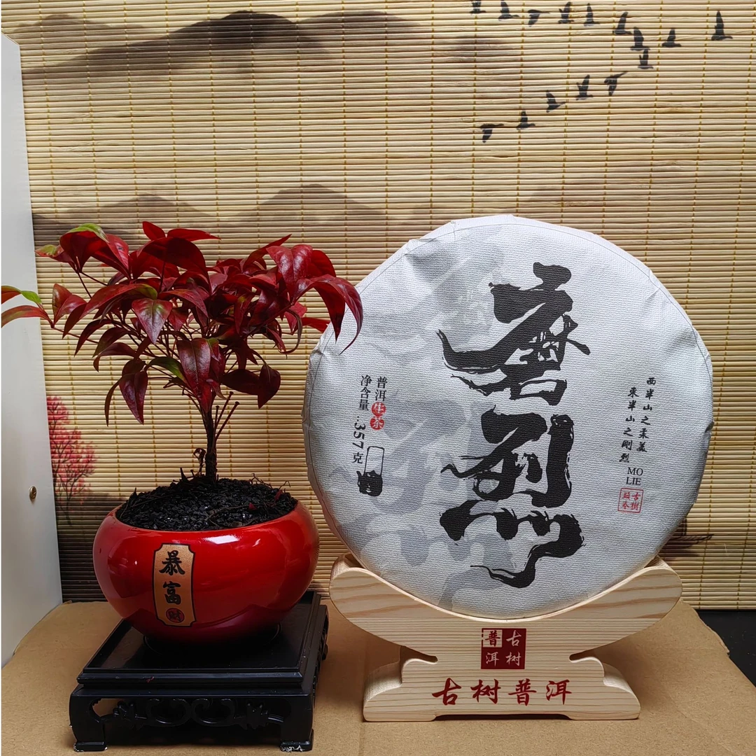 2022年下磨烈古树 兰花香 山野韵 滋味丰富 茶气强 回甘迅猛