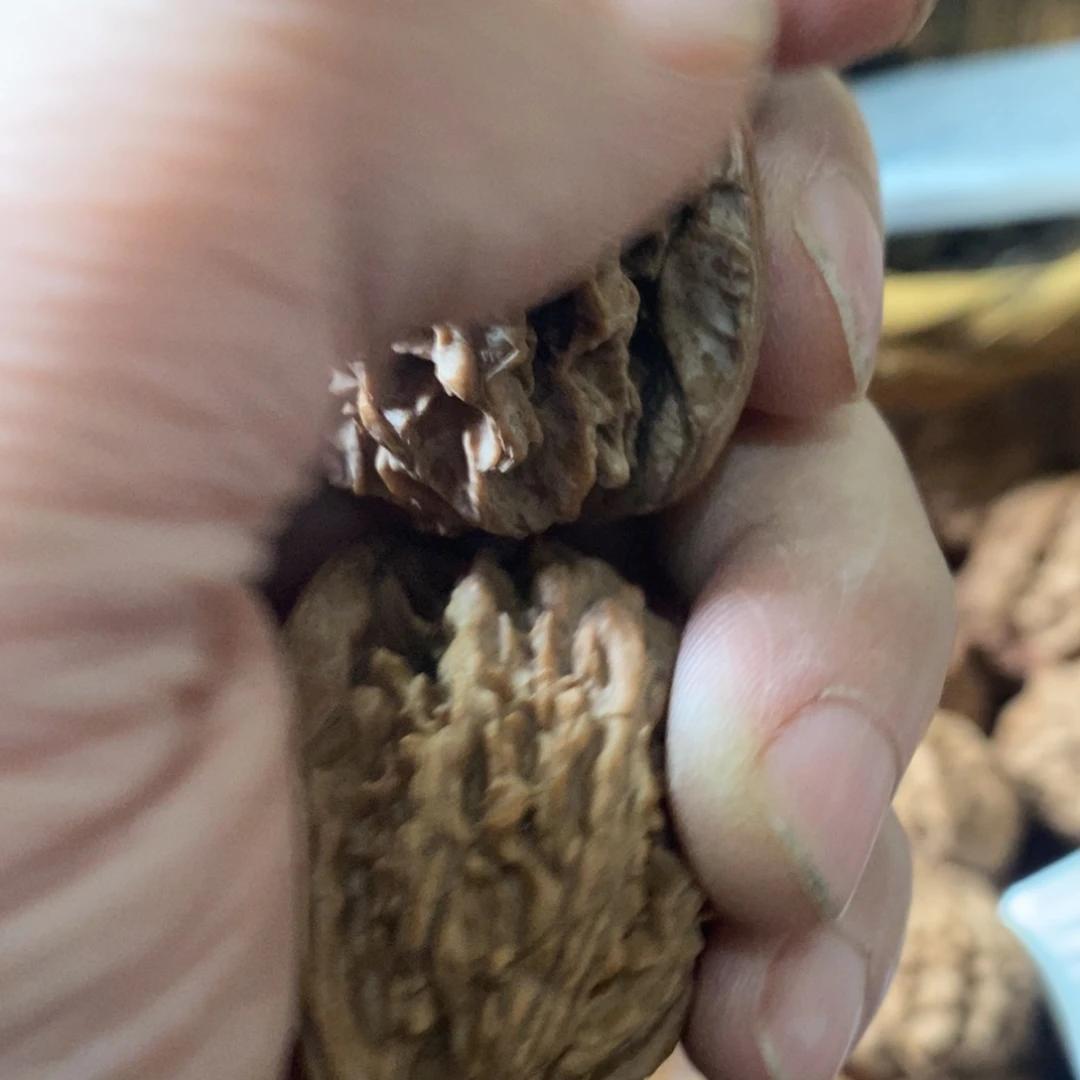 $**$秦岭南北区有什么地方