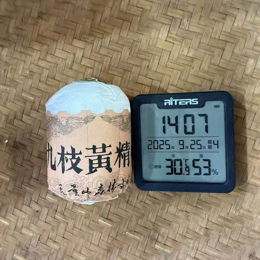 2023年无量山九枝黄精木普洱生茶沱200克DFY1号9月25日
