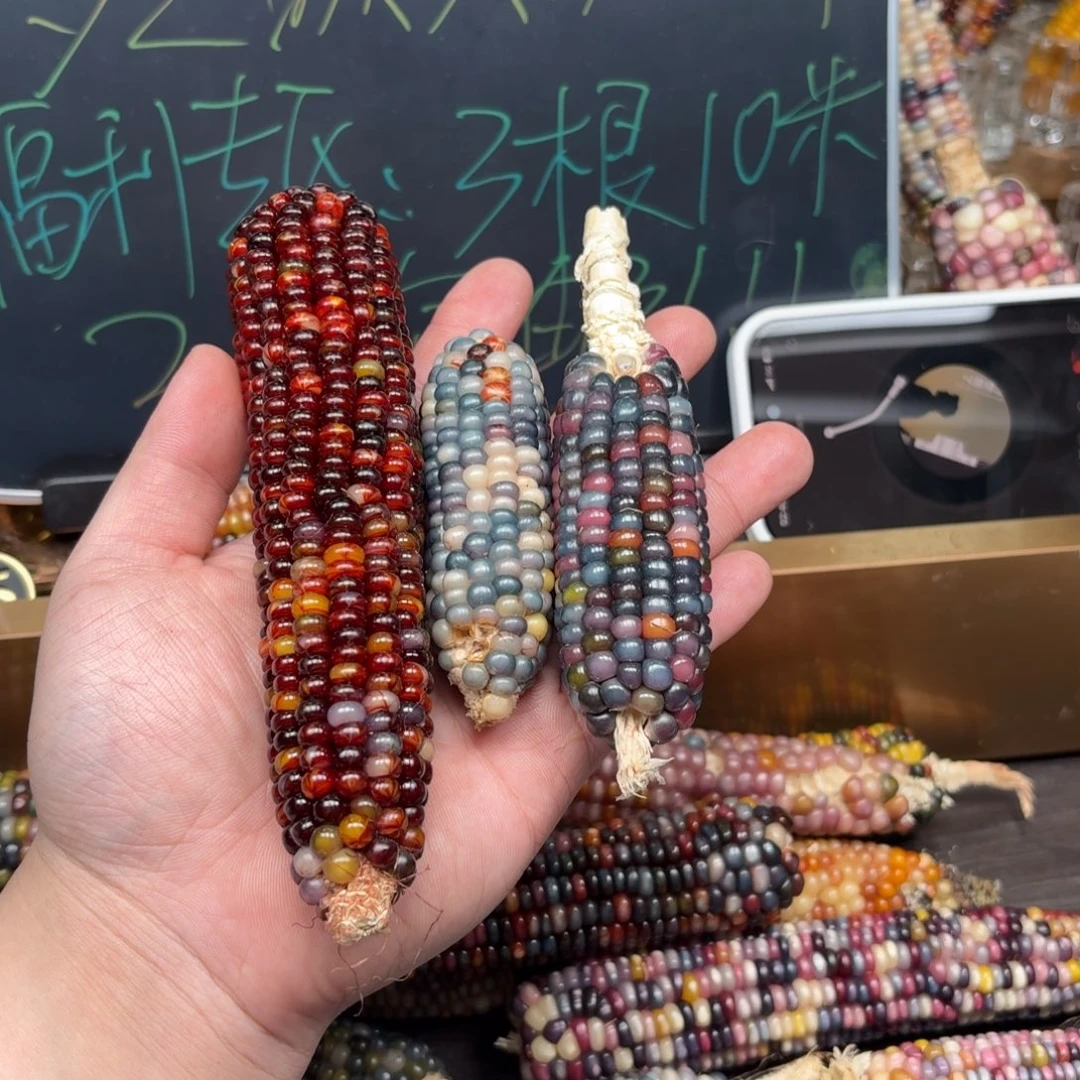 柏香籽/百香籽吊坠性****?