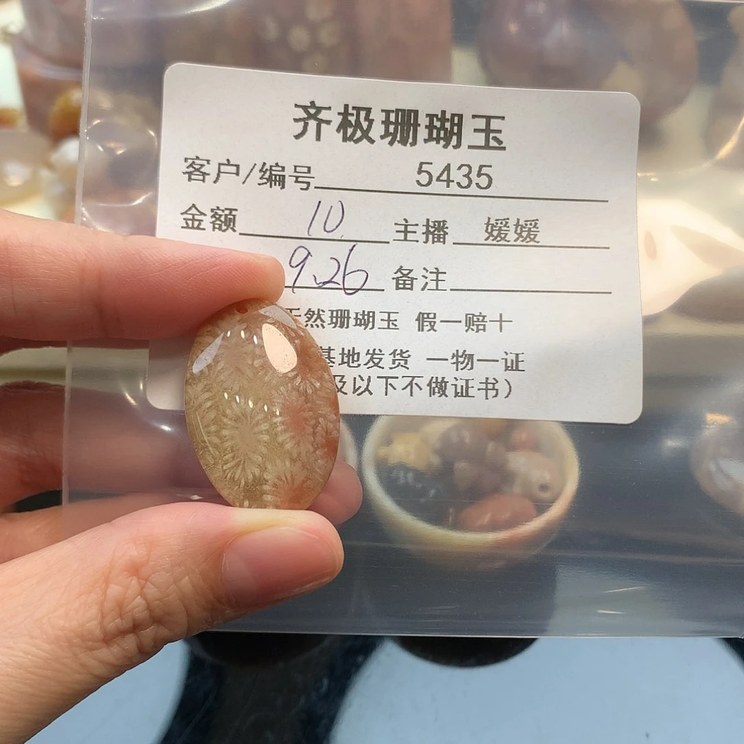 颈饰未镶嵌硅化珊瑚（珊瑚玉）?***?