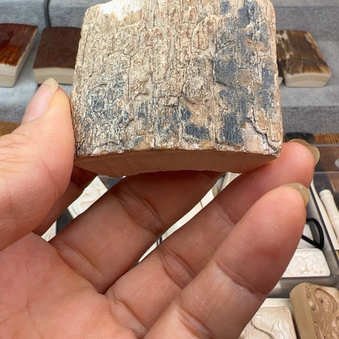 阿***哥泥塑猛犸真品打孔福利不退出