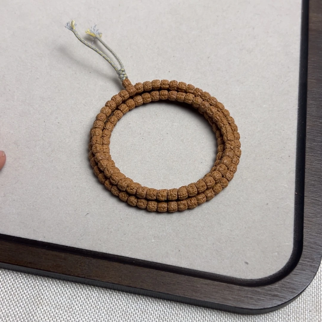 6.5五爪金龙龙切佛手