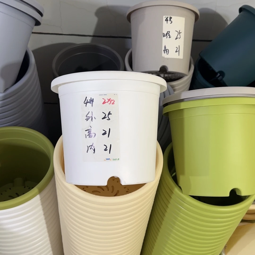 微瑕4号8个无托，白色